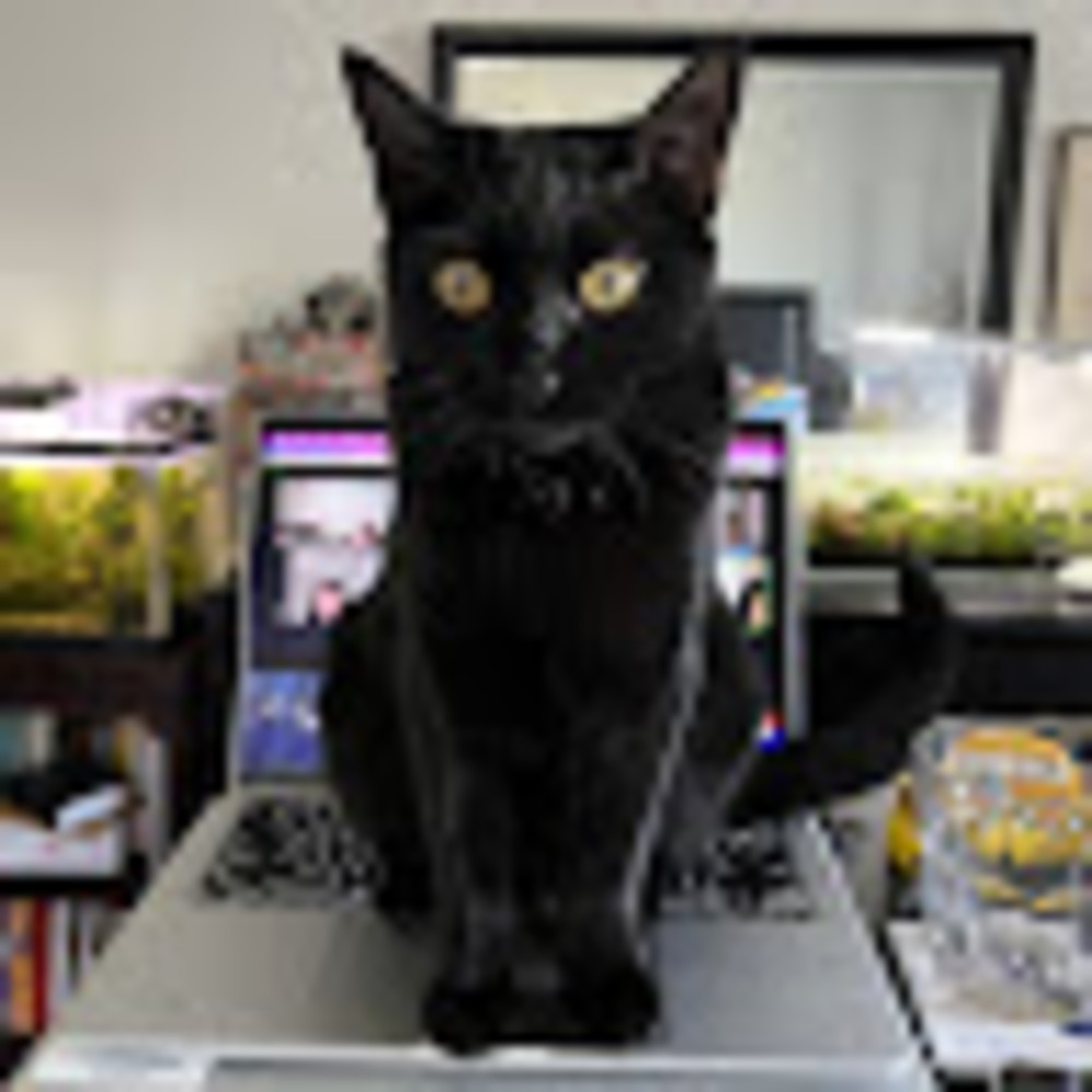 Meet your Posher, Audrey